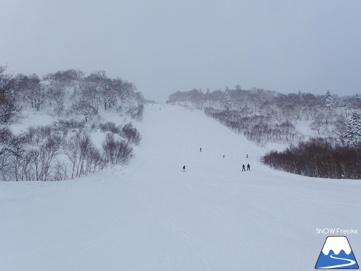 札幌国際スキー場 寒さにも負けず、大賑わい♪新設『エコークワッド』大活躍！